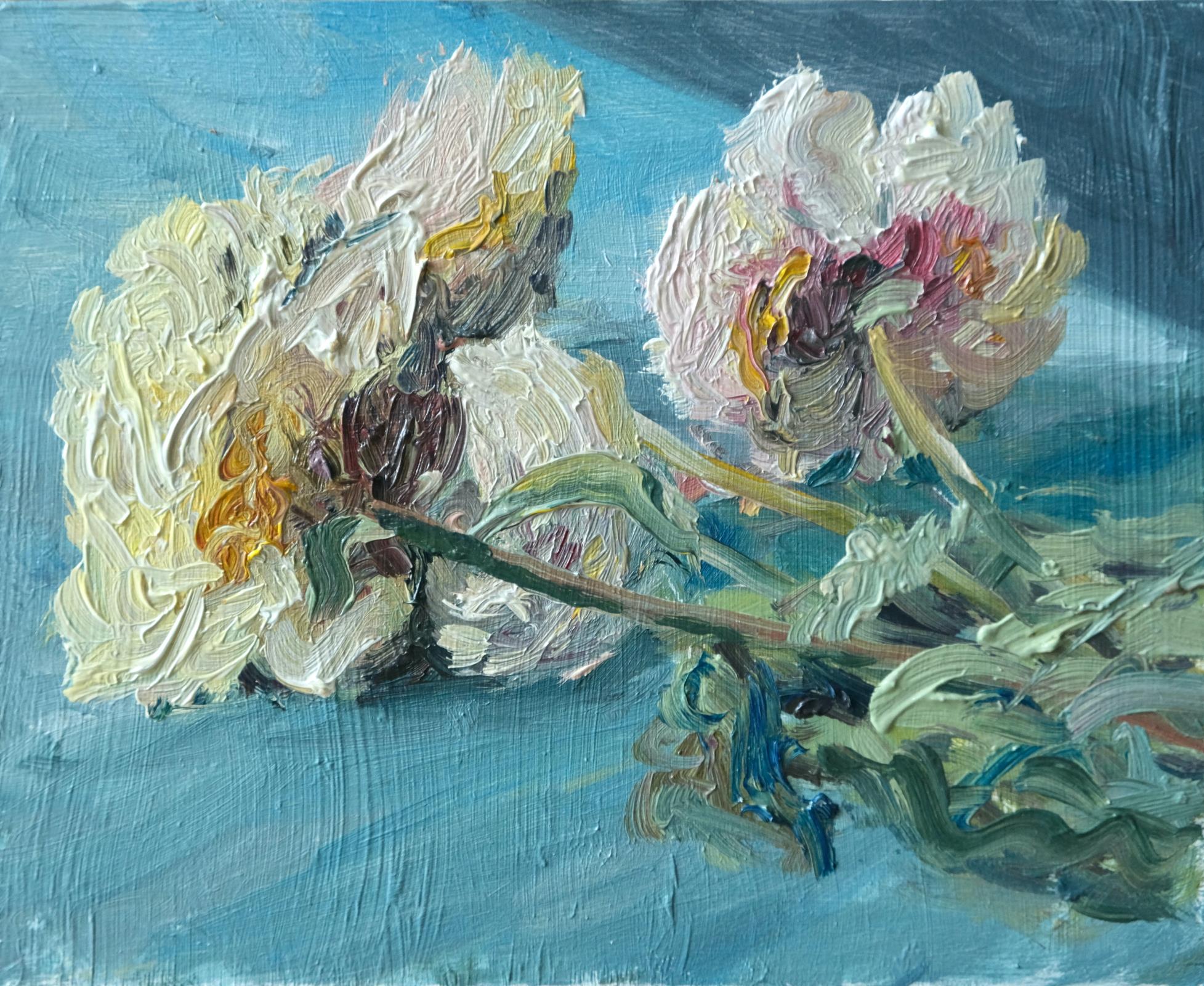 Pivoines IV